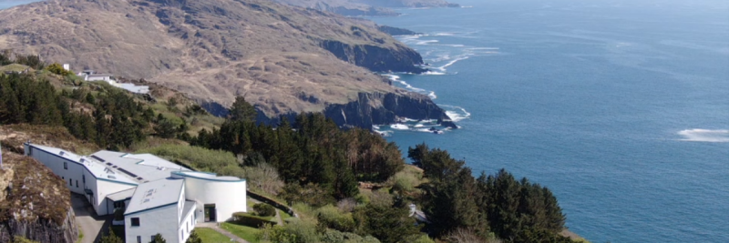 Authentic Presence Immersion